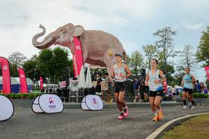 BIB: 
                            <button type="button" onclick="openModal(26528982)" class="btn btn-primary btn-sm float-right btn-popup" data-toggle="modal" data-target=".modal-high-quality">
                        <i class="fas fa-shopping-cart"></i> Add to Cart
                    </button>
                                            <button type="button" onclick="isThisMe(26528982, true)" class="btn btn-success btn-sm float-right btn-popup btn-isme hidden" data-toggle="tooltip" data-placement="bottom" title="นี่คือรูปของคุณใช่ไหม คลิกที่นี่เพื่อเอาเข้าอัลบั้ม">
                        <i class="fas fa-plus"></i> Add to album
                    </button>
                    <button type="button" onclick="isThisMe(26528982, false)" class="btn btn-warning btn-sm float-right btn-popup btn-isnotme hidden">
                        <i class="fas fa-ban"></i> Remove from album
                    </button>